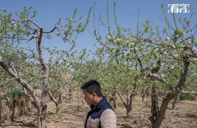农民种地图片_种地一年收入(3)