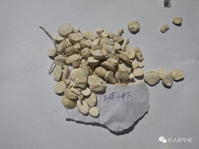 中国环境安全调查系列：你吃的中药老是治不好病？原因在这里-激流网