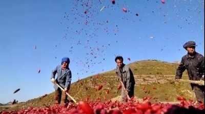 新中国农民的历史与未来：滠水农夫答食物主权问-激流网