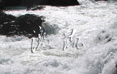 刘继明:丁玲的“左”与“右”