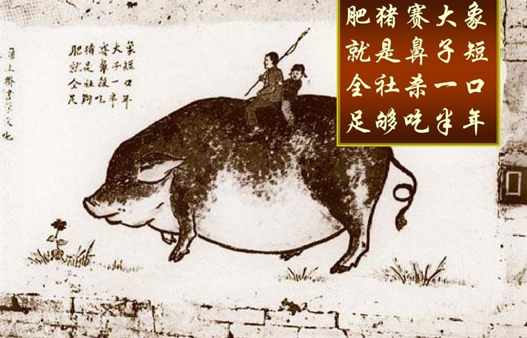 “肥猪赛大象“的历史真相-激流网