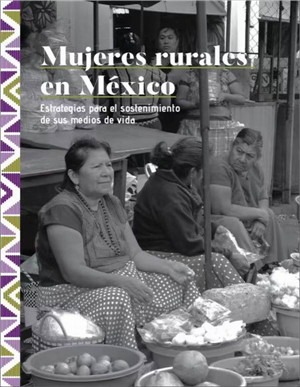 墨西哥的女性与女权：从《罗马》到“反对性别暴力”游行-激流网