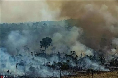 亚马逊雨林着火了！——这是博尔索纳罗的错-激流网