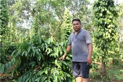 环境恶化、技术垄断、 价格垄断正在把咖啡农逼上绝路-激流网
