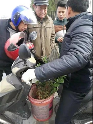 城边异乡人：一个苗工的杭州二十年-激流网